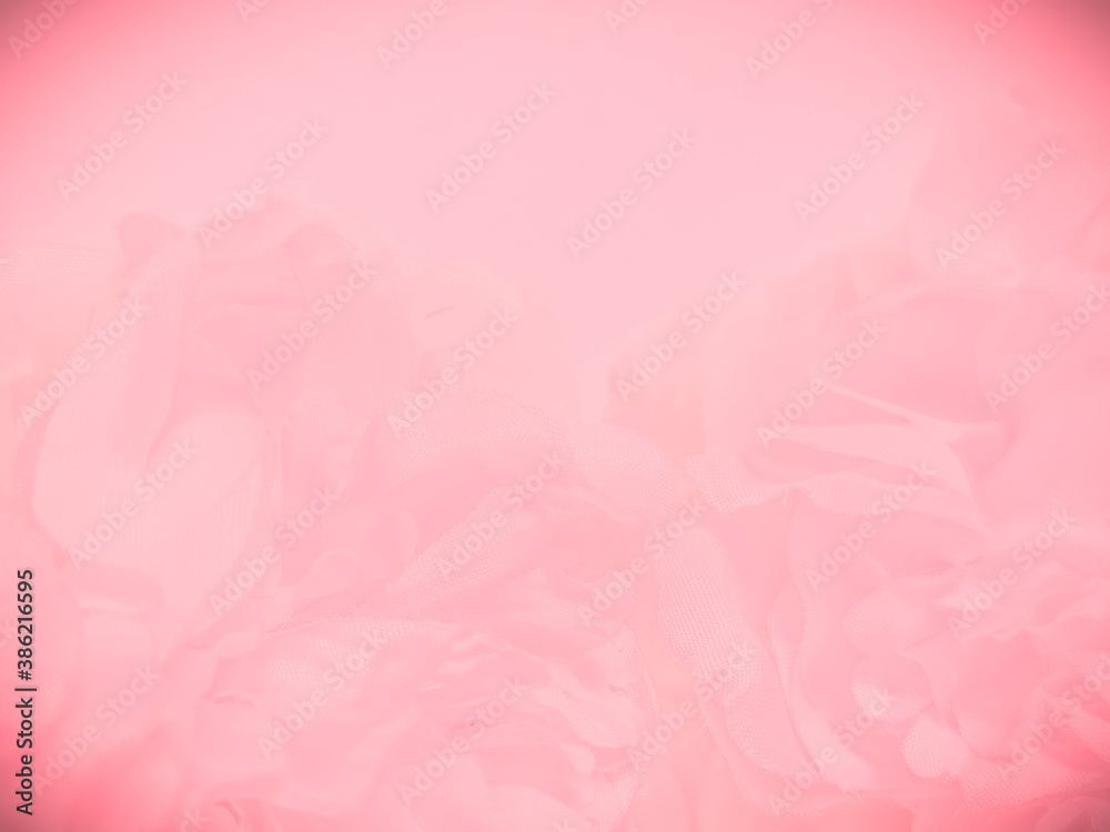 Beautiful abstract color white and pink flowers on white background and white graphic flower frame and pink leaves texture, pink background, colorful graphics banner happy valentine day