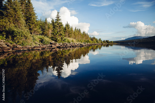 Fototapeta Naklejka Na Ścianę i Meble -  reflection of trees in water, mountain lake with reflection, mirror landscape in reflection, reservoir mountains travel