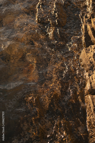 brown coastal rocks with limpets during sunset at the Mediterranean sea close-up vertical
