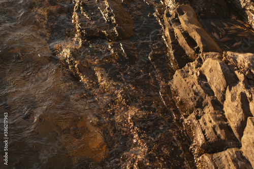 brown coastal rocks with limpets during sunset at the Mediterranean sea close-up horizontal