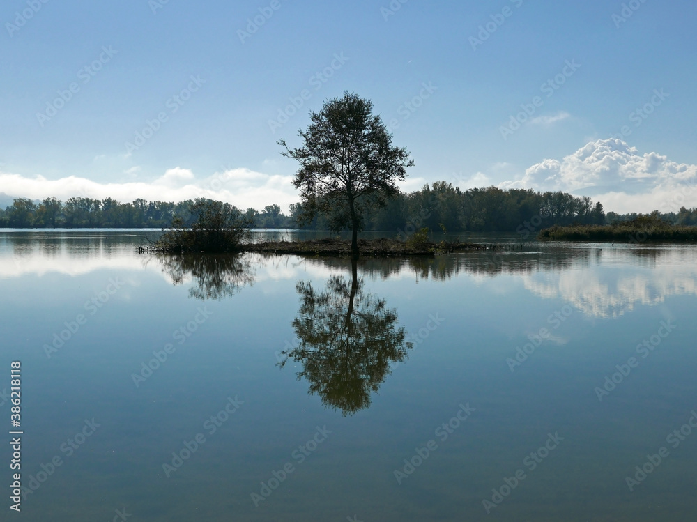 scenica e idilliaca vista dell'oasi faunistica del wwf di alviano in italia scenica e idilliaca vista dell'oasi faunistica del wwf di alviano in italia