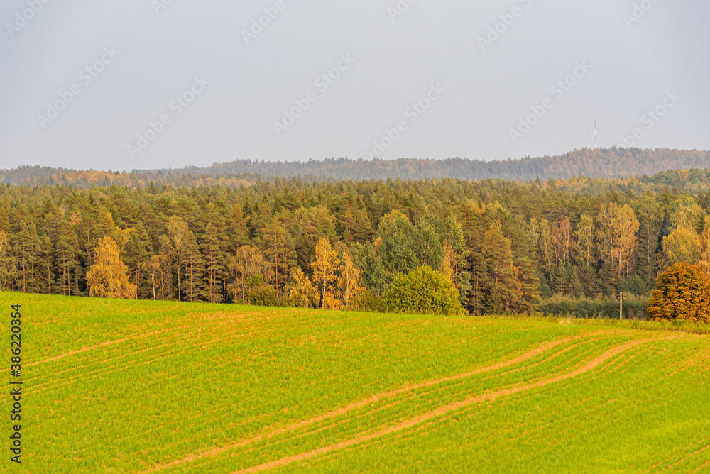 agricultural land cultivated in autumn