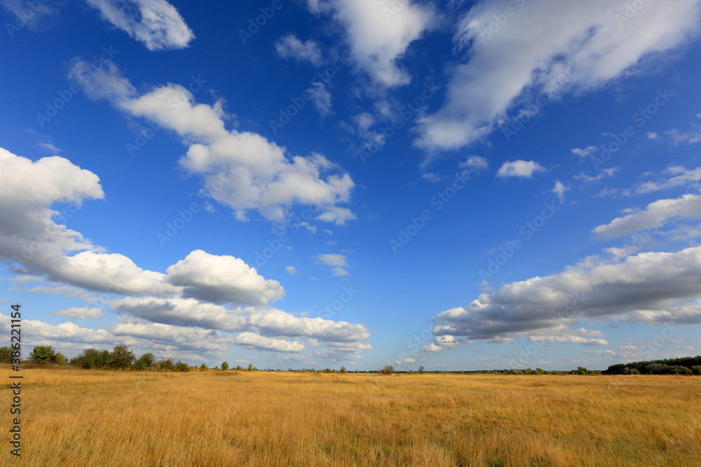 autumn day in steppe