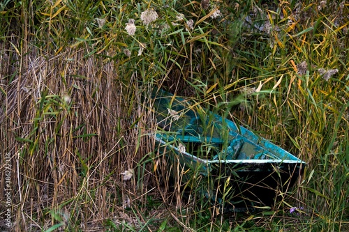 The boat is in high reeds.