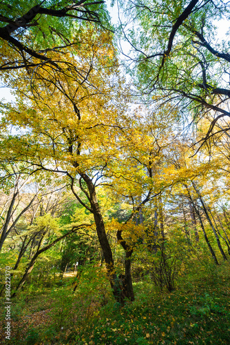 Fototapeta Naklejka Na Ścianę i Meble -  Beautiful autumn landscape in Vanadzor's botanical garden