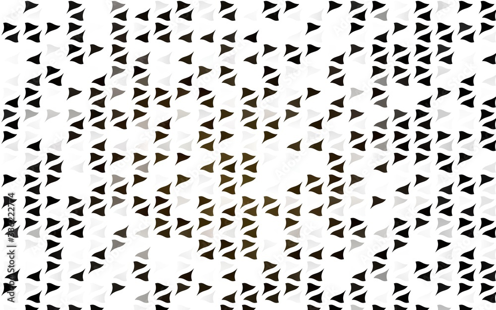 Light Black vector layout with lines, triangles.