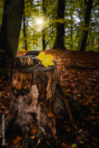 Herbst 2020