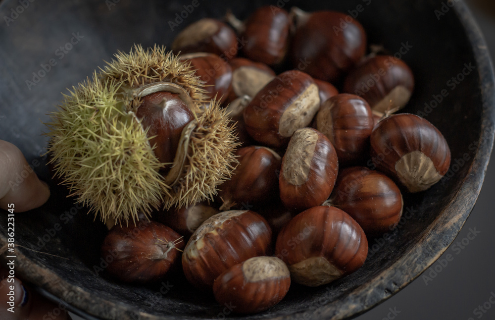 sweet chestnuts rustic composition on daylight sweet chestnuts rustic composition on daylight