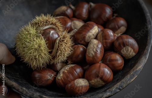 sweet chestnuts rustic composition on daylight