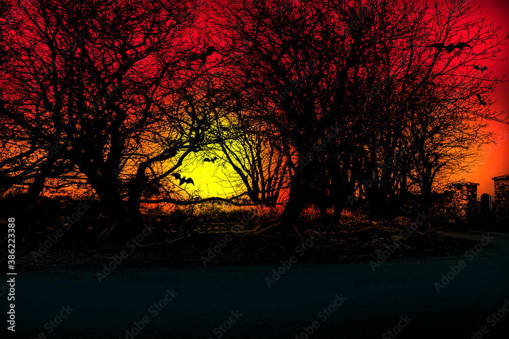Halloween background. Sunset in the forest with flying bats.