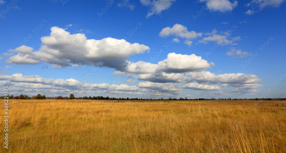 nice sky over yellow meadow