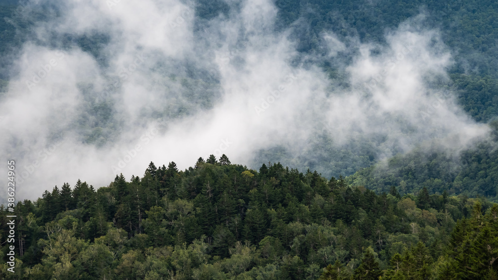 Foggy Morning in the Valleys of the Appalachian Mountains View from The Blue Ridge Parkway