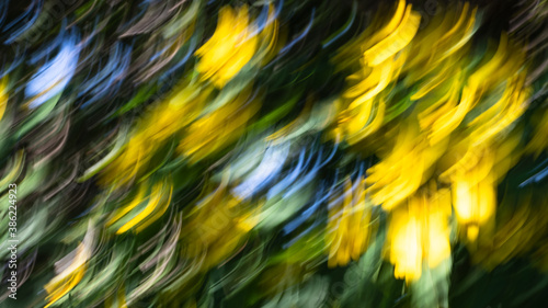 Nature Abstract: Yellow and Green Motion Blur Suitable for Background