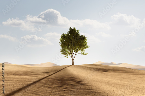 Konstfotografi Baum in der Wüste