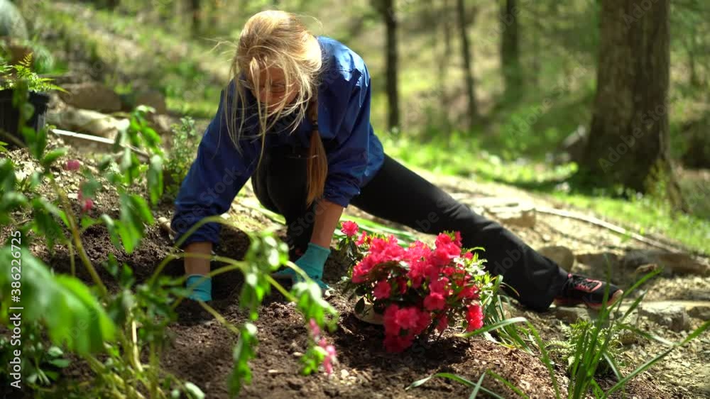 Closeup of pretty blond woman digging a hole for a daffodil in a home garden.