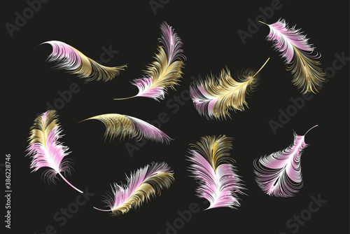 Vector gold feathers collection. Falling fluffy twirled feathers.