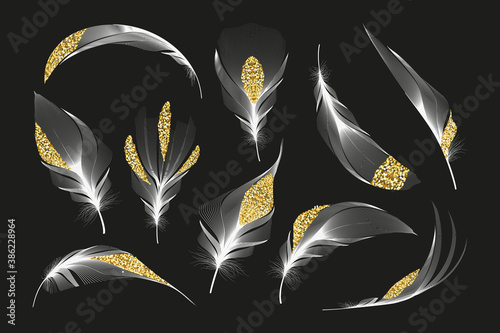 Vector gold feathers collection. Falling fluffy twirled feathers.