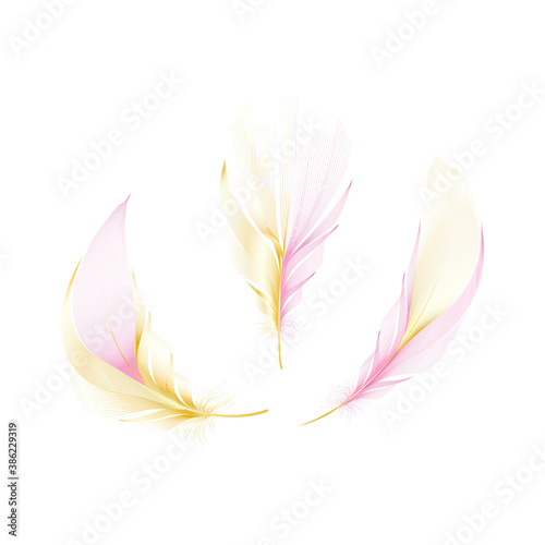 Vector gold feathers collection. Falling fluffy twirled feathers.