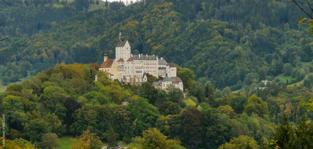 Hohenaschau Castle in the middle of a forest