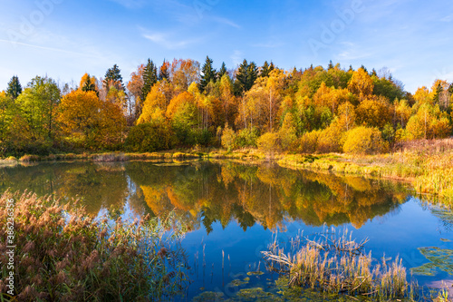 Lake with mirror water among the yellowed autumn forest in Russia