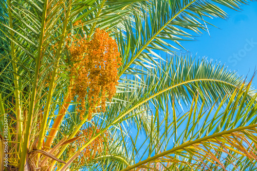 Gran Canaria Meloneras