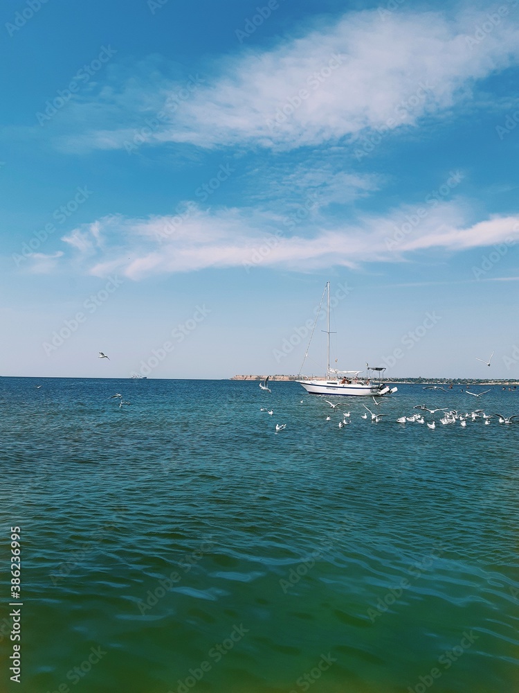 Fototapeta premium yacht in the sea