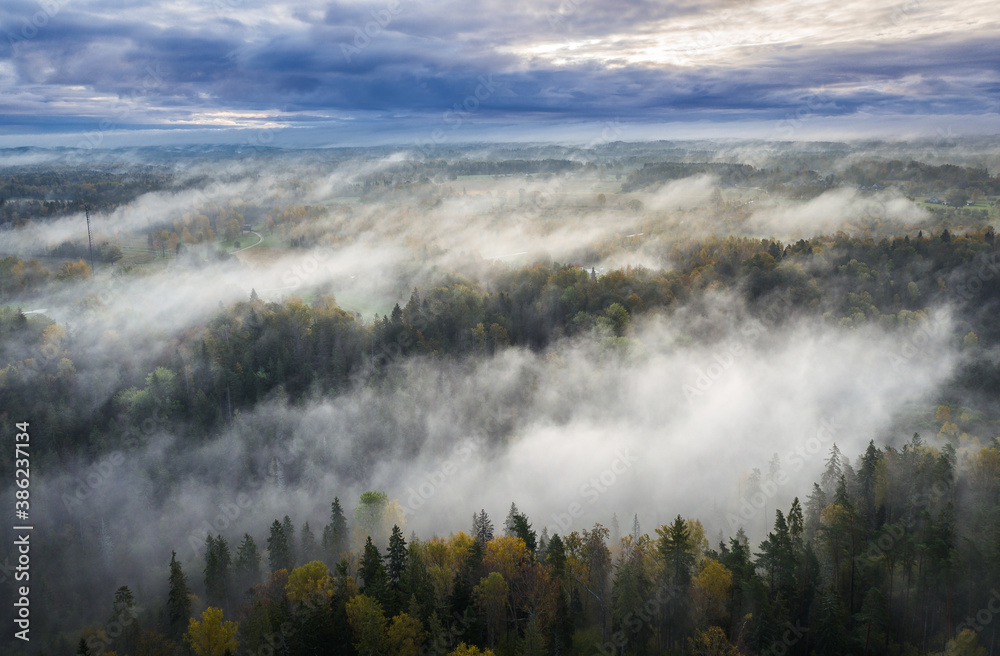 Epic sunrise over the foggy valley in autumn. Morning light lightens colorful forest covered in mist. Impressive storm clouds. 