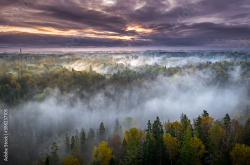 Epic sunrise over the foggy valley in autumn. Morning light lightens colorful forest covered in mist. Impressive storm clouds. 