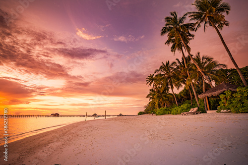 Beautiful beach. Palm trees on  sandy beach near the sea. Summer holiday and vacation, travel tourism. Inspirational tropical landscape. Tranquil scenery, relaxing beach, tropical landscape design
