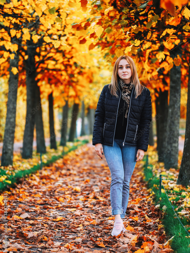 Beautiful young woman walks in autumn Park in November. maple alley Beautiful young woman walks in autumn Park in November. maple alley