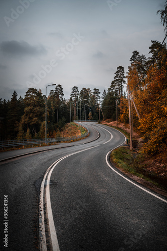 Countryside road surrounded by trees during autumn