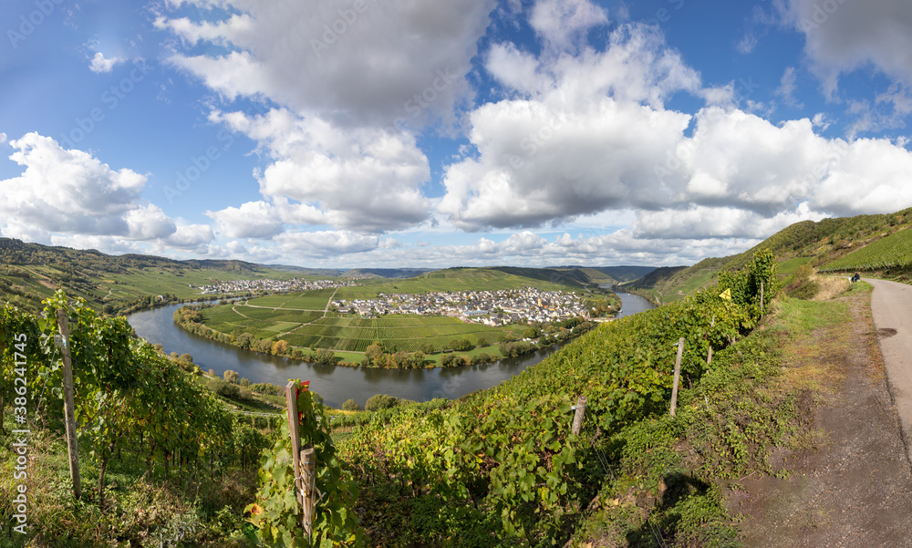 Panorama von der Moselschleife bei Trittenheim in Rheinland-Pfalz, Deutschland