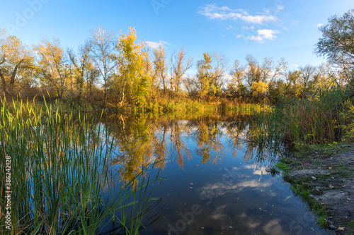 Fototapeta Naklejka Na Ścianę i Meble -  Autumn on lake