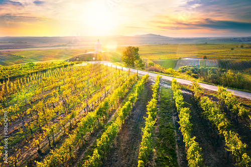 Sunset above vineyard with chapel. South moravia, Palava region, view from above on sunlit landscape. photo