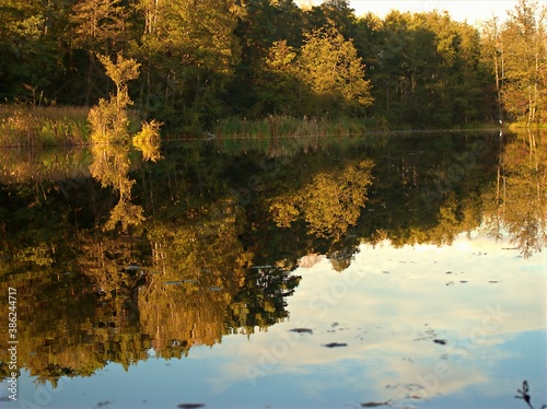 ma  e jezioro w lesie  cisza  ziele    rezerwat  uroczysko  jesieni    jezior  woda  krajobraz  
