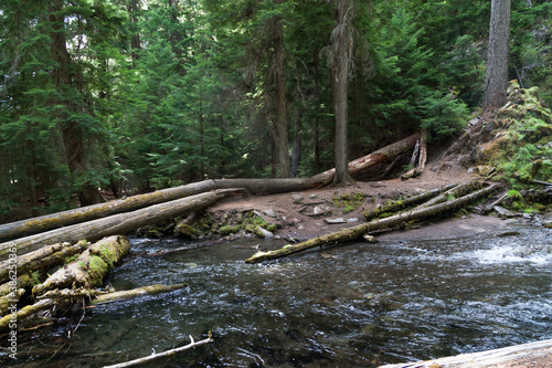 Wild and Unspoiled National Creek in Oregon