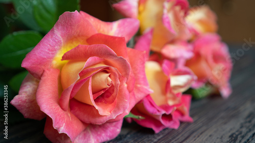 Close up yellow pink roses lie on the table on the table. Delicate background for greeting card