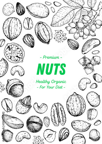 Nuts collection hand drawn sketch. Pistachios, walnut, hazelnut, almond, cashew, pecan nuts vector illustration. Organic healthy food. Great for packaging design. Engraved style. Black and white color