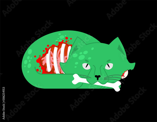 Zombie cat. Pet zombi. Kitten revived dead. kitty Green monster