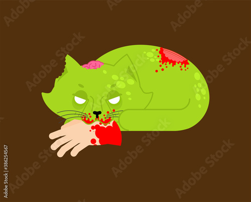 Zombie cat. Pet zombi. Kitten revived dead. kitty Green monster