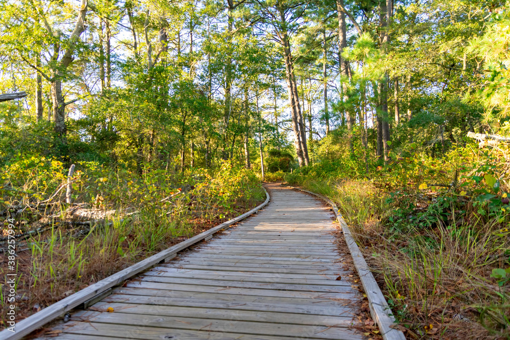 Wooden walkway in Chincoteague Wildlife Refuge in Virginia