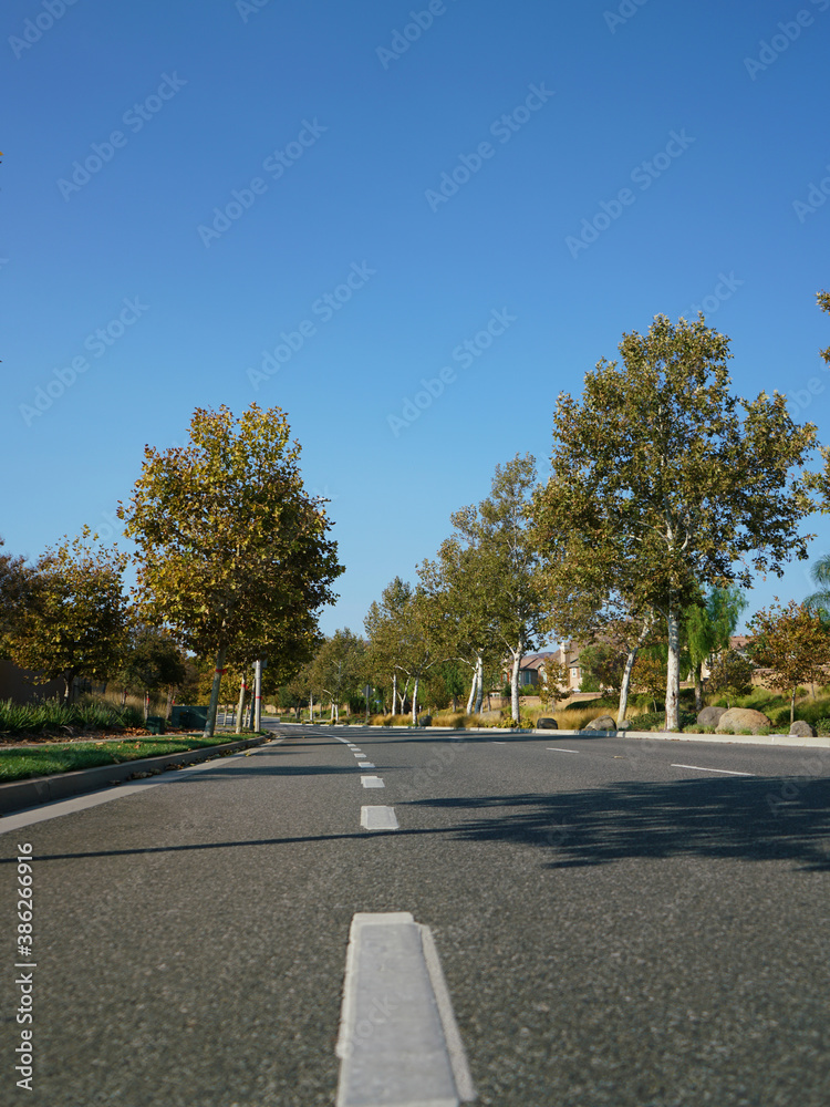 Low angle view of empty tree lined street on sunny day Low angle view of empty tree lined street on sunny day
