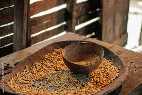 CALLENDO CORN GRAINS IN A HIGUERO HANDMADE TRAY ON RUSTIC TABLE IN RURAL PALM WOOD HOUSE photo