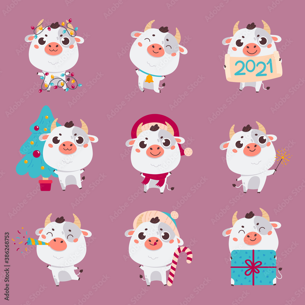 Set of cute silver cartoon bulls and cows.New year ox with various festive attributes.Chinese new year 2021 symbol.Set of holiday animals for the design of calendars,cards,advertising.Vector Set of cute silver cartoon bulls and cows.New year ox with various festive attributes.Chinese new year 2021 symbol.Set of holiday animals for the design of calendars,cards,advertising.Vector