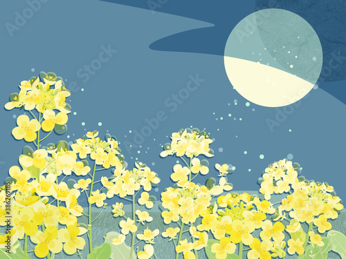 菜の花