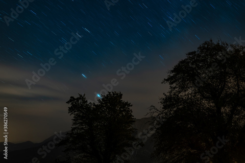 Image of isolated trees silhouette with at night with startrail