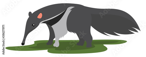 Grey ant eater, illustration, vector on white background