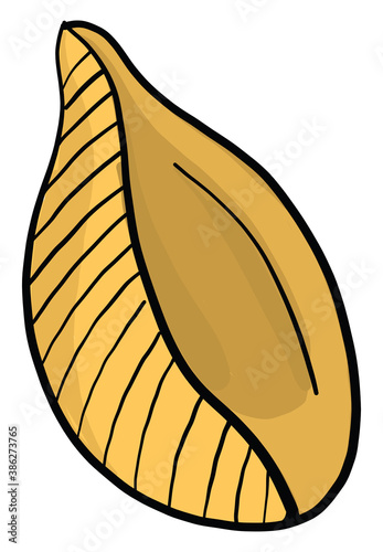 Conchiglie pasta, illustration, vector on white background