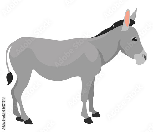 Grey donkey, illustration, vector on white background