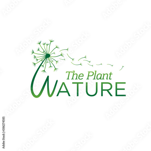 spread dandelion plant logo designs for foundation service